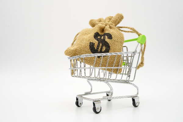 How to use Distance Business Programme funding effectively?
