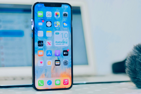 20240822 - apple tax - application